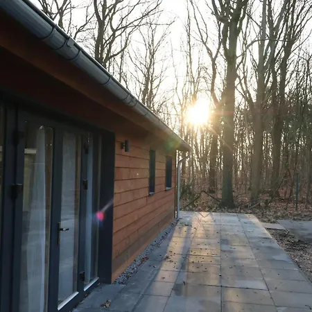 Luxe Houten Boshuis Retreat Met Prive Werkruimte Meijel