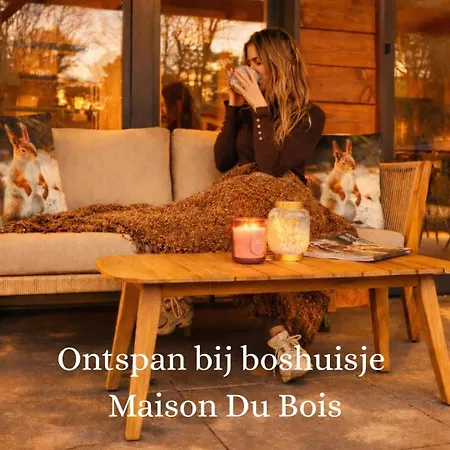 Luxe Houten Boshuis Retreat Met Prive Werkruimte
