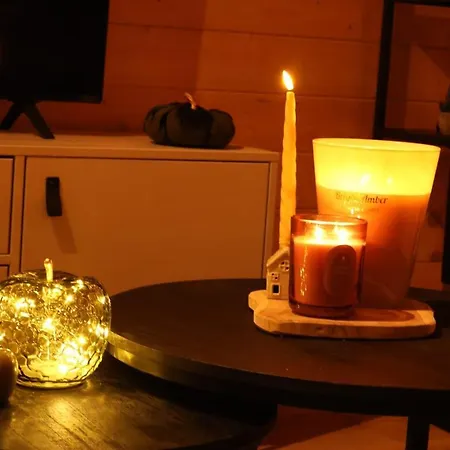 Luxe Houten Boshuis Retreat Met Prive Werkruimte Vakantiehuis Meijel