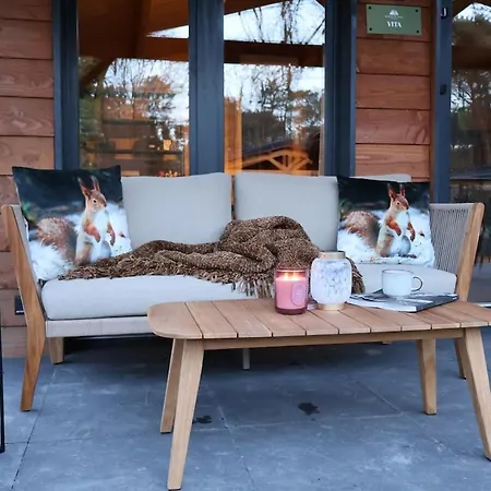 Vakantiehuis Luxe Houten Boshuis Retreat Met Prive Werkruimte Meijel
