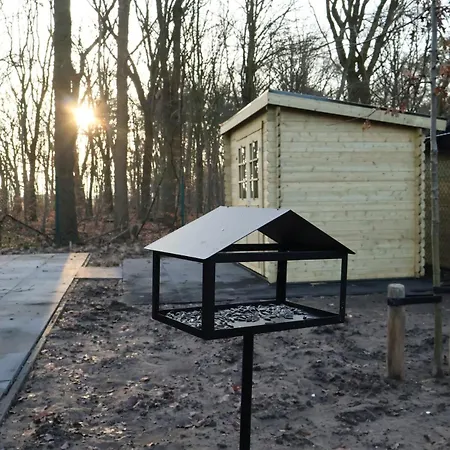 Vakantiehuis Luxe Houten Boshuis Retreat Met Prive Werkruimte