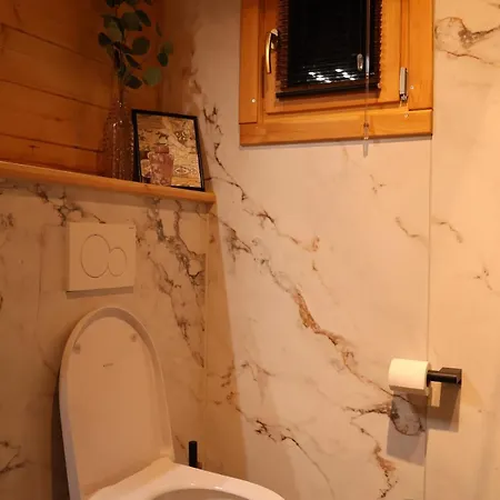 Vakantiehuis Luxe Houten Boshuis Retreat Met Prive Werkruimte Meijel